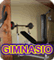 gimansio