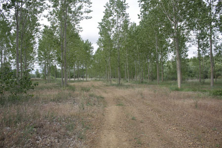 2009_06_07_0047