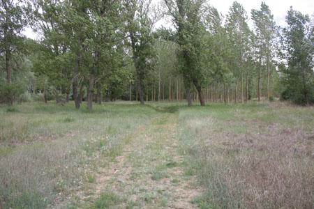 2009_06_07_0051