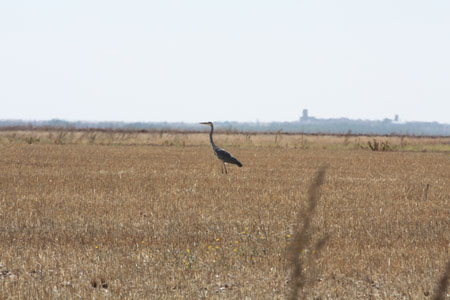 2009_09_22_0486