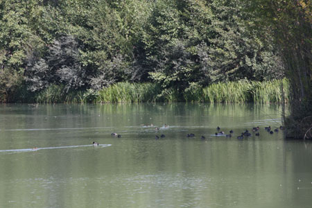 2009_09_22_0500