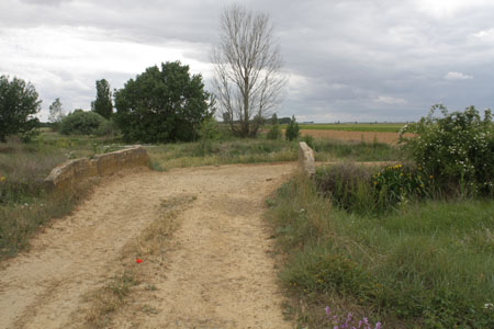 si15