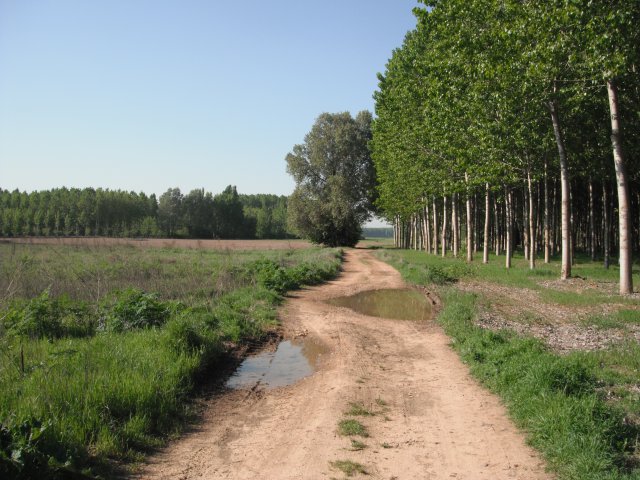 Entorno_04