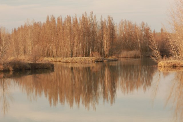 Entorno_10