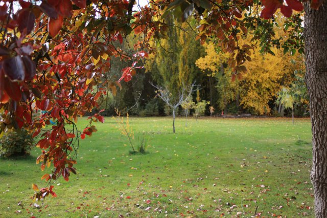 Jardin_3