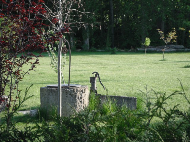 Jardin_4