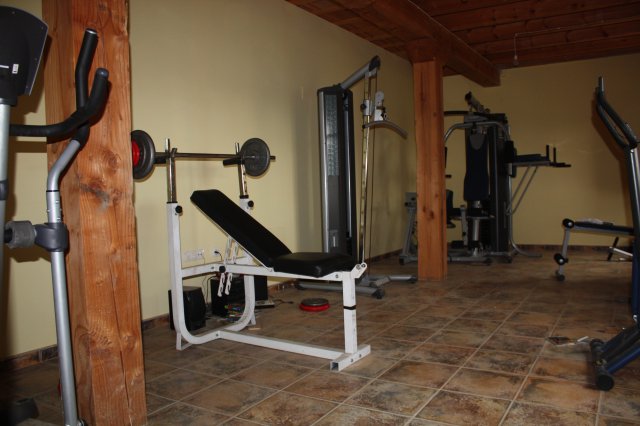 Zona_Gimnasio