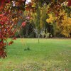 Jardin_3