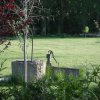 Jardin_4